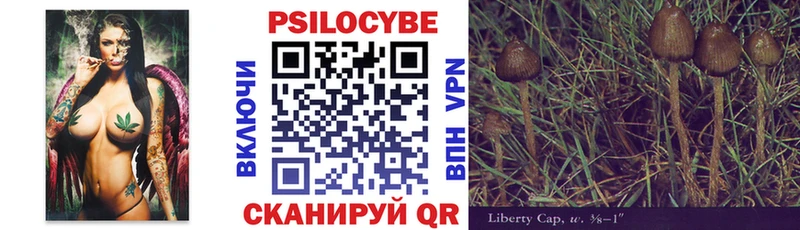 Галлюциногенные грибы Psilocybine cubensis  наркота  OMG ССЫЛКА  Нязепетровск 